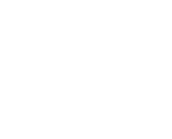 Furlaneto & Silva, contabilidade